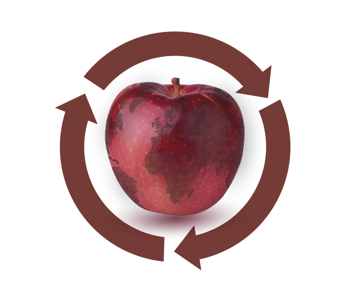 apple-food-waste-collected-recycling-compost-pot-peeled-vegetables-chopping-board-white-compost-bin-blue-background